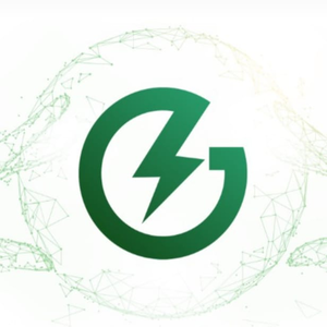 GAIA ELECTRIC