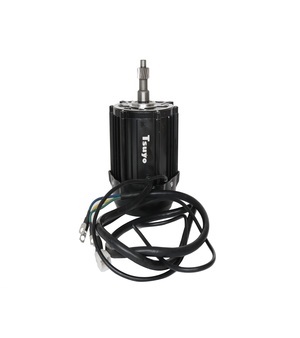 Tsuyo E Rickshaw Motor (1200W 48V)