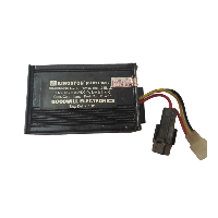 20Amp Converter for E Rickshaw